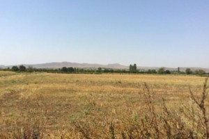 «Բերրիություն»-ը կրկին պարարտանյութ կմատակարարի
