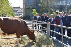 Նախագահն այցելել է «ԱրմՊրոդԷքսպո» գյուղատնտեսական ցուցահանդես