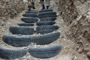 Состоится мониторинг ОБСЕ
