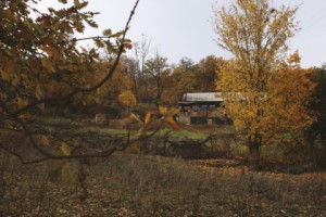 Осень в Антарамедже