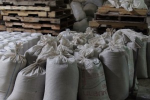 Գեղարքունիքում հնդկացորեն աճեցրած գյուղացիները փաստի առաջ են կանգնել. 
վերամշակման գործարանը դեռևս չի աշխատում