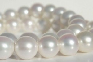 No Buyer Yet for Armenian Government's Cultured Pearl