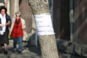 Компания советника премьер-министра предпочла закону приклеенное на дереве объявление 
