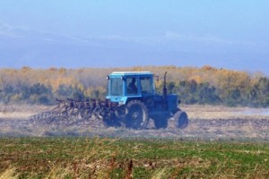 Чем обусловлен высокий показатель экономической активности