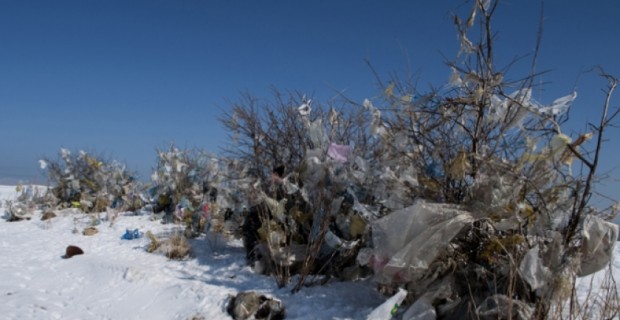 Armenia Fails to Ban Plastic Bags. Taxing Them Could Generate $215 Million for the Government