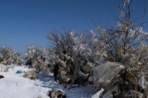 Armenia Fails to Ban Plastic Bags. Taxing Them Could Generate $215 Million for the Government