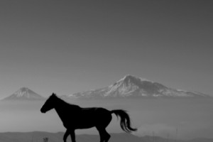 Bungalows for Diasporan Armenians - Gaze at Ararat While Sipping Coffee