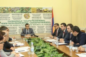 Գյուղատնտեսության նախարարությունում քննարկվել են գյուղոլորտին առնչվող ներդրումային 
նոր ծրագրերը