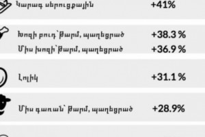 Որ ապրանքներն են ամենից շատ թանկացել դեկտեմբերին