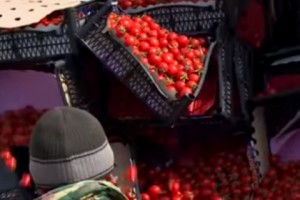 Six Tons of Exported Armenian Vegetables Seized &amp; Destroyed