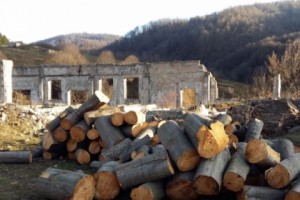 Դսեղի անտառտնտեսությունում 1475 ծառ հատելու առթիվ քննվող գործն ուղարկվել է դատարան