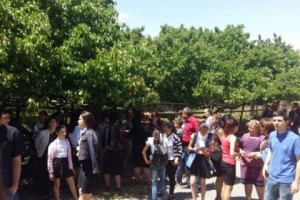 Учителя и учащиеся школы общины Шаумян требуют отставки директора