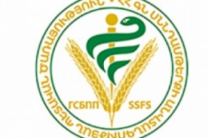 Զանգվածային թունավորման արդյունքում կասեցվել է Ա/Ձ Ալվինա Մելքոնյանի գործունեությունը
