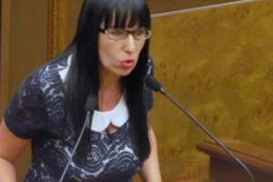 Н.Зограбян – РПА: “Вы разрушили всё своим цинизмом, наглостью и беспределом, при котором 
Конституция была превращена в половую тряпку”