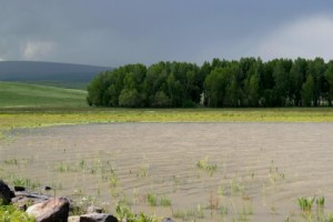 Northern Armenia's Eco-Rich Lake Arpi National Park: Poor Infrastructure Hinders Tourism
