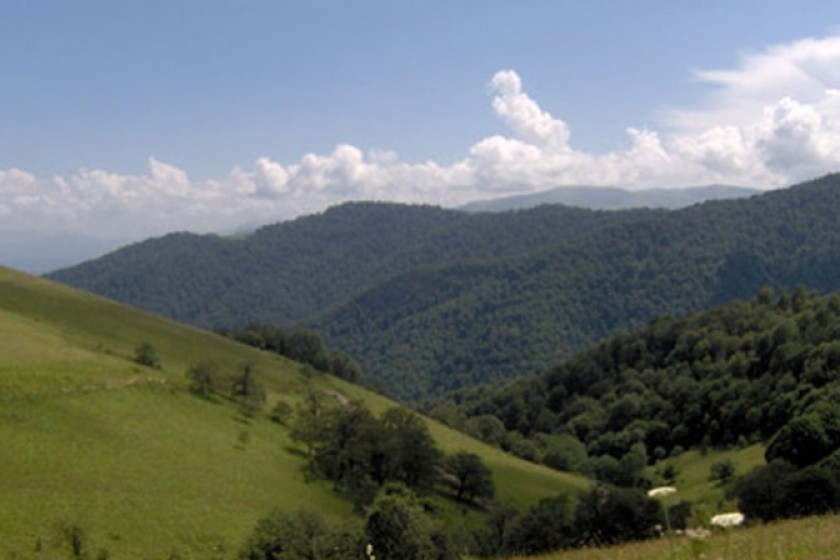 Council of Europe Renews “European Diploma for Protected Areas” for Armenia’s Khsorov Forest Reserve
