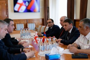 Վալերիյ Օսիպյանն ընդունել է Վրաստանի արտակարգ և լիազոր դեսպանին