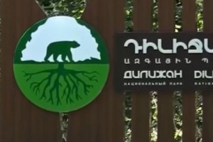 Dilijan National Park: More Trees Felled Despite PM Pashinyan's Warning
