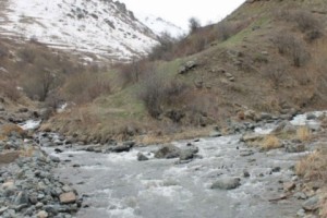 Սուրիկ Խաչատրյանի ընկերությունն արձագանքել է «Հետքի» հրապարակմանը. բնապահպանները կրկին մտահոգ են