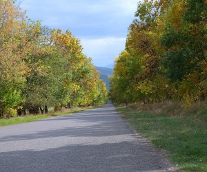 Մեդովկա. գյուղ, որ հիմնել են մոլոկանները