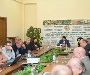 Քննարկվել են «Կովկասյան էլեկտրահաղորդման ցանց I» ծրագրով նախատեսված աշխատանքները