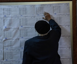Внеочередные парламентские выборы в Ереване (фото)