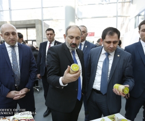 Pashinyan at Lori Business Conference: &quot;We Want Entrepreneurs with Guts&quot;
