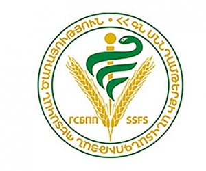 Կասեցվել է ավտոտնակից մսեղիքի վաճառքը
