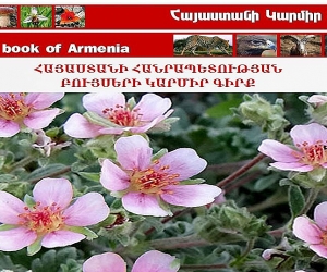 Դիմում կառավարությանը՝ վիճահարույց որոշումն ուժը կորցրած ճանաչելու վերաբերյալ. ՀԲՃ