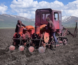 «Կարտոֆիլագործության մեջ Վարդենիսն անցել է Մարտունուն»,- ասում է Սոթքի ֆերմերը