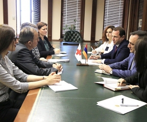 Պաշտպանության նախարարն ընդունել է Կարմիր խաչի Միջազգային կոմիտեի ներկայացուցիչներին
