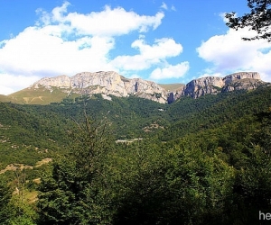 Government Allocates AMD 21 Million to State Forestry Monitoring Center