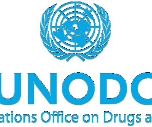 UN: Organized Crime Accounts for a Fifth of Murders Worldwide