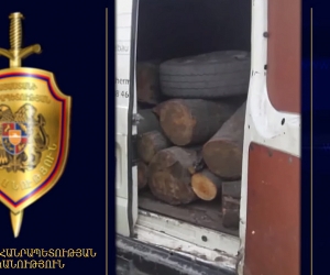 Լոռու մարզում ապօրինի ծառահատման հերթական դեպքն է բացահայտվել