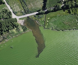 МОС предлагает увеличить подлежащие очистке территории озера Севан 