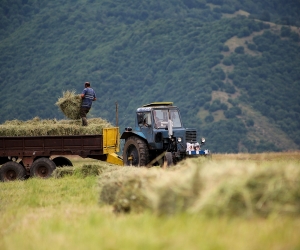 «Անասնաբուժասանիտարիայի և բուսասանիտարիայի ծառայությունների կենտրոն» ՊՈԱԿ-ը լուծարվեց