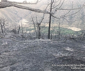 «Արևիկ» ազգային պարկին հարակից տարածքում այրվել է 2 հա բուսածածկույթ, 25 ծխացող օջախ կա