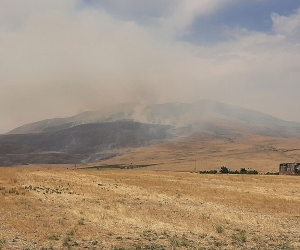 Slopes of Mt. Ara Still Burning