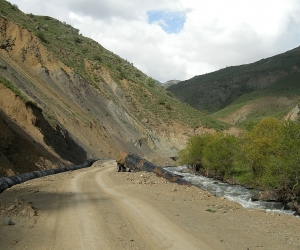 Շատին-Եղեգիս ավտոճանապարհին տեղի ունեցած պատահարի հետևանքով վարորդը տեղում մահացել է