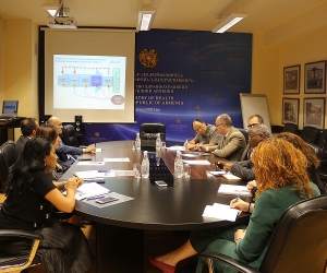 Արսեն Թորոսյանը հանդիպել է Առողջապահության համաշխարհային կազմակերպության ներկայացուցիչներին