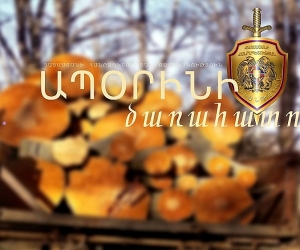 Շնող գյուղի բնակչի տանը փայտանյութ է հայտնաբերվել