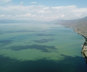 Ministry of Environment Proposes to Clean Up Lake Sevan's Forested Acreage