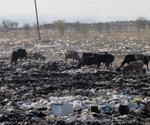 Etchmiadzin Landfill: A Growing Health Risk for Residents and Agriculture