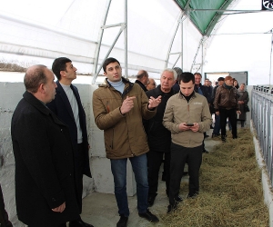 Շիրակի մարզում բացվել է թեթև կոնստրուկցիաներով «խելացի» անասնաշենքը
