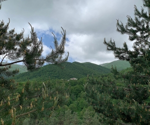 Marble Mine Planned for Aghveran; Company Claims No Damage to Adjacent Protected Forests