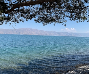 Professor Gabrielyan Raises Concerns About Lake Sevan Fish Stocks