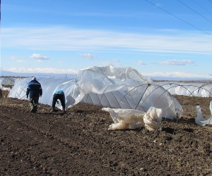 Արմավիրի մարզում, հողի հարկի պլանը նվազեցնելով, ցույց են տվել բարձր կատարողական