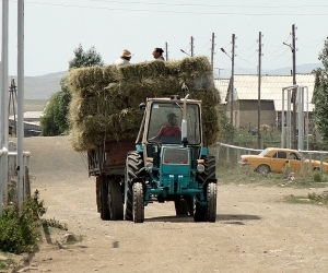 Պետական աջակցության ծրագրեր Շիրակի մարզում աշխատանք փնտրող եւ գործազուրկի կարգավիճակ ունեցողների համար