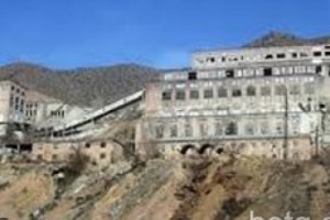 Экологическая организация недовольна бездействием Министерства экологии