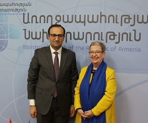 Արսեն Թորոսյանն ու ԵՄ պատվիրակության գրասենյակի ղեկավարը քննարկել են համատեղ ծրագրերը